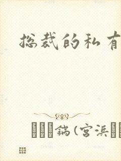 总裁的私有宝贝