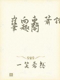 崔向东 萧错 笔趣阁