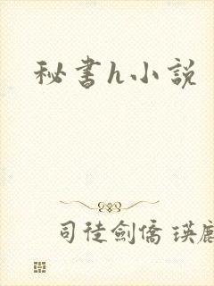 秘书h小说