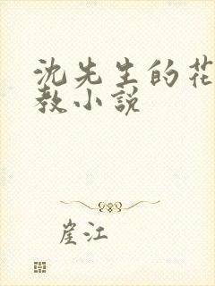 沈先生的花式调教小说