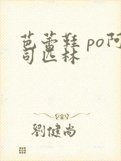 芭蕾鞋 po阿司匹林