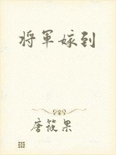 将军嫁到