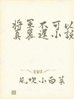 将军不可以魏云真慕迟小说笔趣阁
