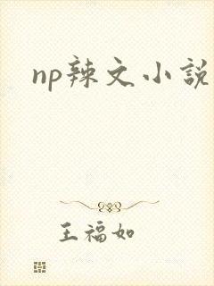 np辣文小说