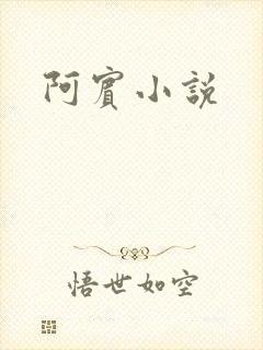 阿宾小说