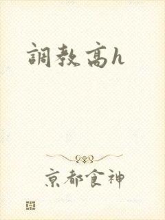 调教高h