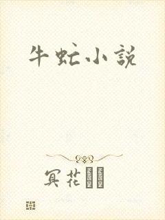 牛虻小说