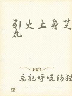 引火上身芝麻糖丸