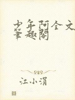 少年阿全文免费笔趣阁