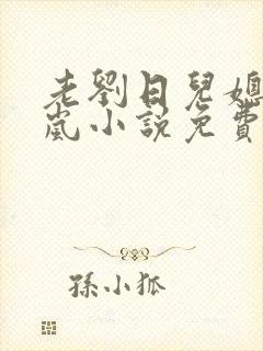 老刘日儿媳妇张岚小说免费阅读