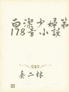 白洁少妇第1一178章小说