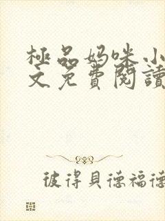 极品妈咪小说全文免费阅读