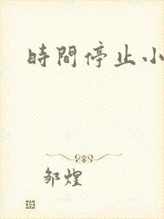 时间停止小说