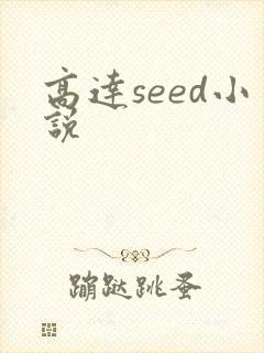 高达seed小说