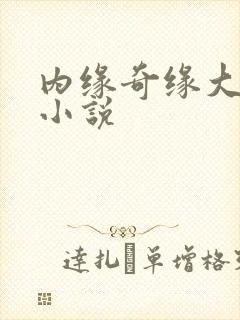 内缘奇缘大团圆小说