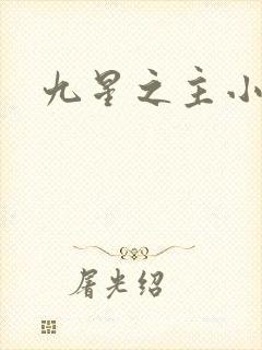 九星之主小说