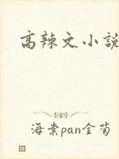 高辣文小说