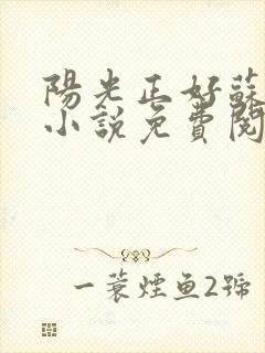 阳光正好苏玥玥小说免费阅读无弹窗