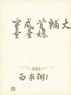 穿成首辅大人的童养媳