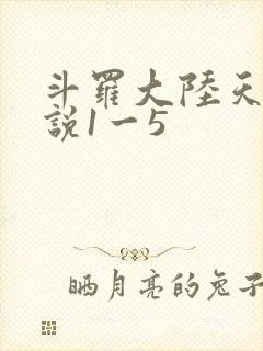 斗罗大陆天狂传说1一5