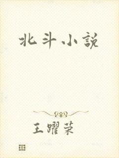 北斗小说