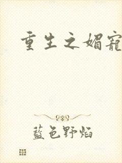 重生之媚宠系统