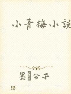 小青梅小说