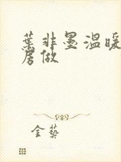 叶非墨温暖在厨房做