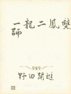 一龙二凤双飞老师