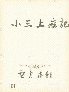 小三上瘾记
