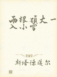 两根硕大一起挤入小雪