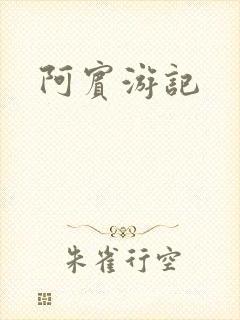 阿宾游记