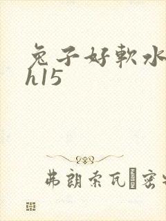 兔子好软水好多h15