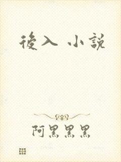 后入 小说
