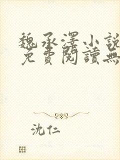 魏承泽小说全文免费阅读无弹窗笔趣