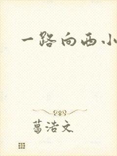 一路向西小说