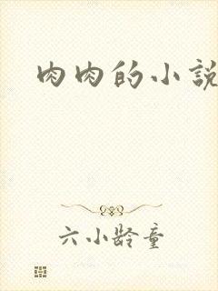肉肉的小说
