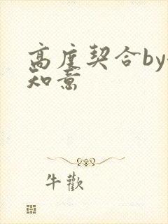高度契合by洛知意