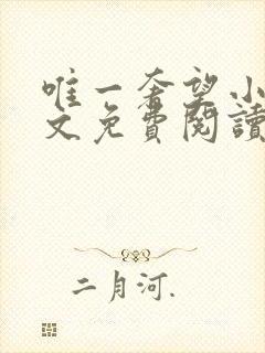 唯一奢望小说全文免费阅读