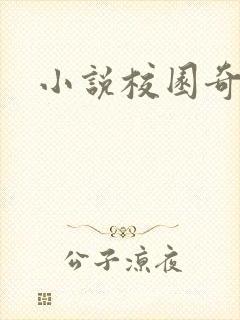 小说校园奇侠
