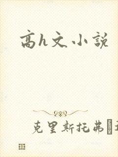 高h文小说