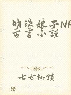 明珠娘子NPC古言小说