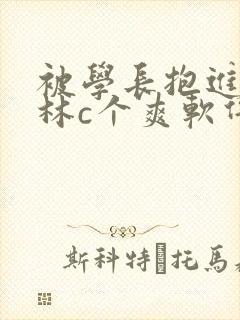 被学长抱进小树林c个爽软件