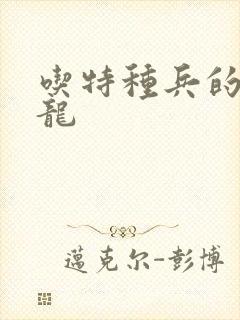 吃特种兵的大黑龙