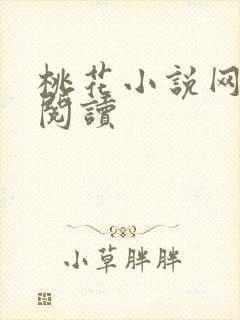 桃花小说网小说阅读