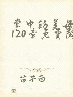 掌中的美母版主120章免费阅读