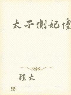 太子侧妃傻乎乎