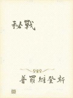 秘战