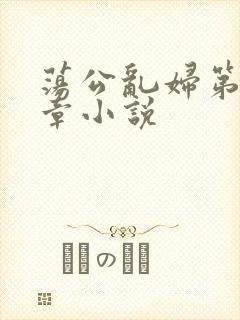 荡公乱妇第51章小说