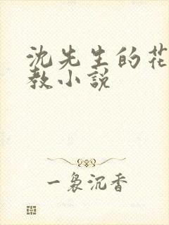 沈先生的花式调教小说